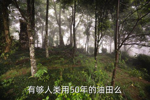 人類什么石油已經(jīng)很久吧，有夠人類用50年的油田么
