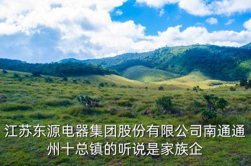 江蘇東源電器集團(tuán)股份有限公司南通通州十總鎮(zhèn)的聽(tīng)說(shuō)是家族企