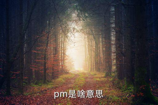 市場(chǎng)部pm什么意思，pm是啥意思