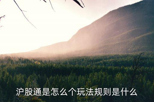 滬股通是怎么個玩法規(guī)則是什么