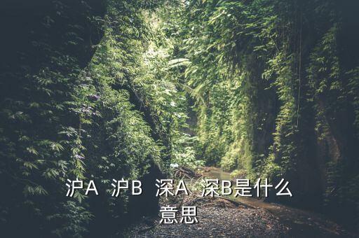 深證b指是什么意思，深證B指和成份B指