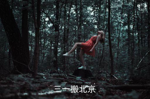 三一為什么搬家，三一搬北京