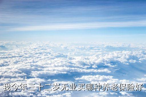 我今年三十二歲無(wú)業(yè)買(mǎi)哪種養(yǎng)老保險(xiǎn)好