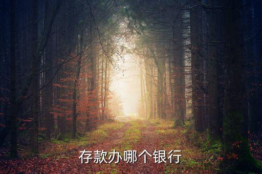 存款辦哪個(gè)銀行