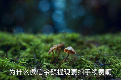為什么微信提現(xiàn)要手續(xù)費(fèi)，微信提現(xiàn)為什么要手續(xù)費(fèi)