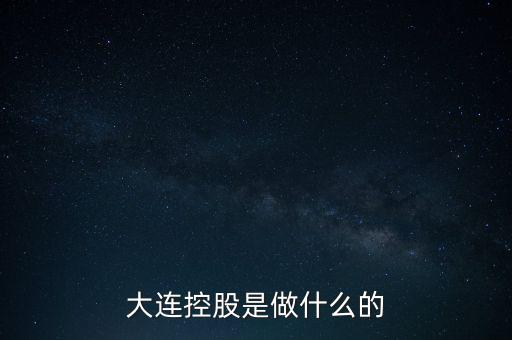 大連控股是做什么的