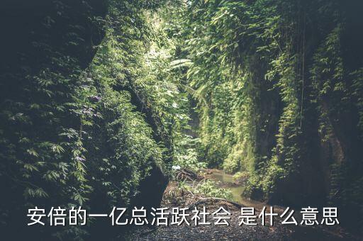 一億總活躍社會是什么， 安倍的一億總活躍社會 是什么意思