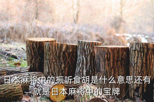 匯盈貸是什么，日本麻將中的振聽食胡是什么意思還有就是日本麻將中的寶牌