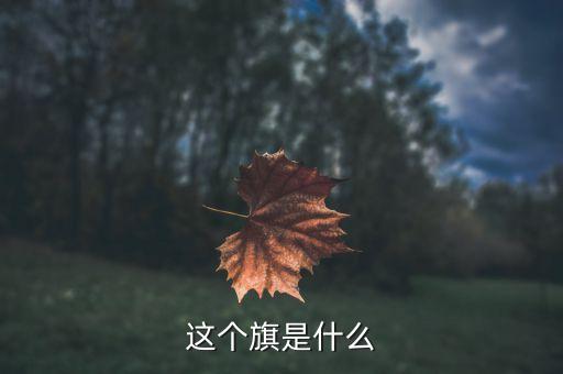 601718旗是什么，7月1日是什么旗