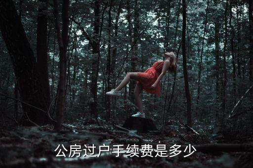 公房使用權(quán)轉(zhuǎn)讓需要交什么錢，公租房使用權(quán)交易如何收費(fèi)