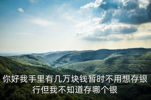你好我手里有幾萬(wàn)塊錢暫時(shí)不用想存銀行但我不知道存哪個(gè)銀