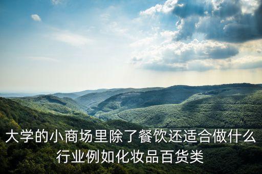 大學(xué)的小商場(chǎng)里除了餐飲還適合做什么行業(yè)例如化妝品百貨類