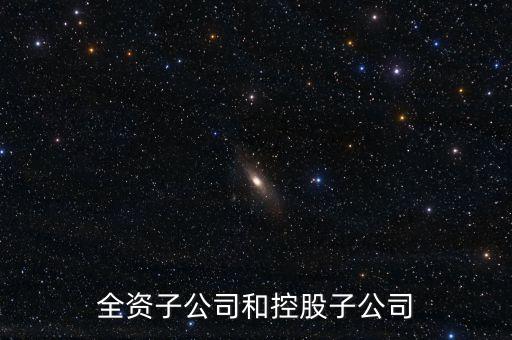 全資控股子公司是什么意思，全資子公司是怎么意思啊