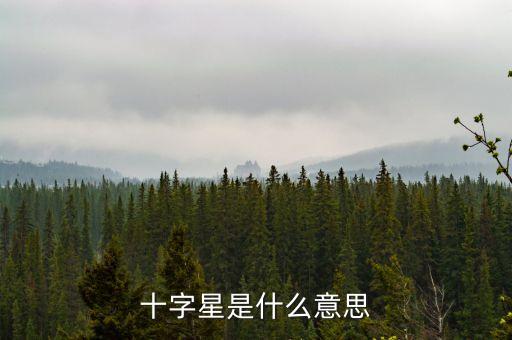 什么是地量十字星，請(qǐng)教一下選股公式前一日是放量中陽(yáng)線或大陽(yáng)線下一日是地量十字