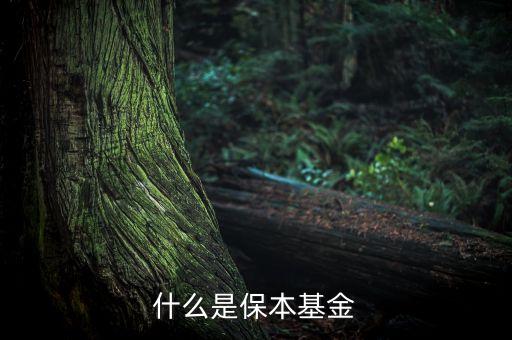 保證基金是什么，保本基金是什么意思