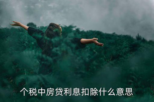房貸利息抵扣個稅什么意思，個稅中房貸利息扣除什么意思