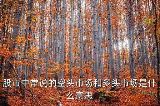 多頭市場什么意思，什么是多頭市場什么是空頭市場