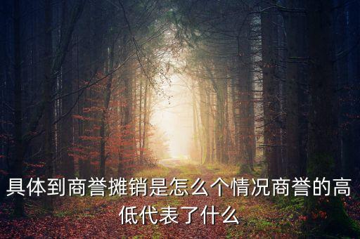 具體到商譽(yù)攤銷(xiāo)是怎么個(gè)情況商譽(yù)的高低代表了什么