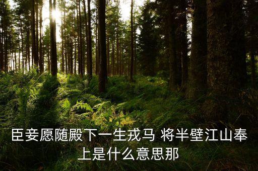 打下半壁江山什么意思，半壁江山的意思是