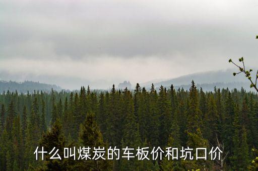 什么叫煤炭坑口價(jià)，煤炭坑口價(jià)格是什么意思呀有知道的好心人請(qǐng)給予答復(fù)