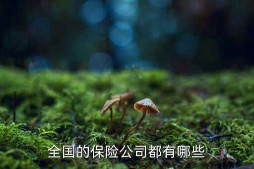 全國的保險(xiǎn)公司都有哪些