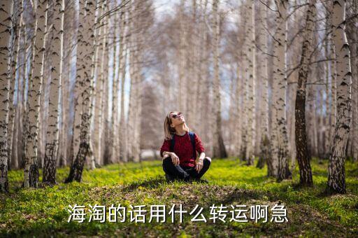 惠惠海淘用的什么轉(zhuǎn)運(yùn)，海淘的話用什么轉(zhuǎn)運(yùn)啊急