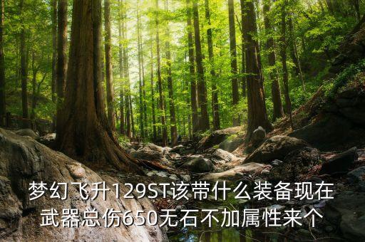 129st要什么裝備，夢幻飛升129ST該帶什么裝備現(xiàn)在武器總傷650無石不加屬性來個