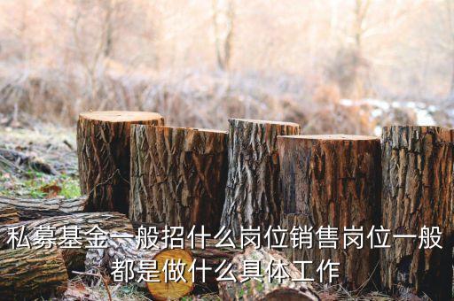私募公司的市場部做什么，投資公司的市場部職員主要做什么