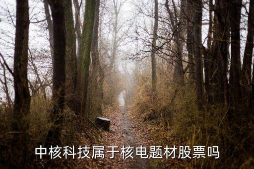 中核科技是什么板塊，中核科技屬于核電題材股票嗎