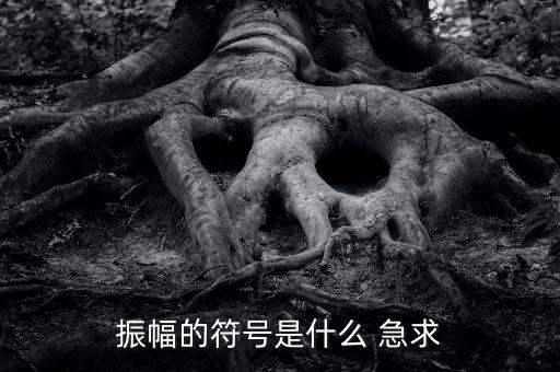 什么振幅，振幅的符號是什么 急求