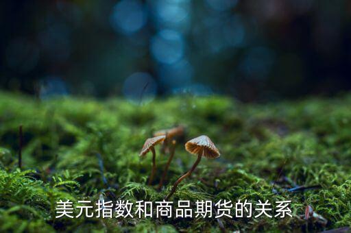 燃油指數(shù)和燃油期貨什么關系，美元指數(shù)和商品期貨的關系