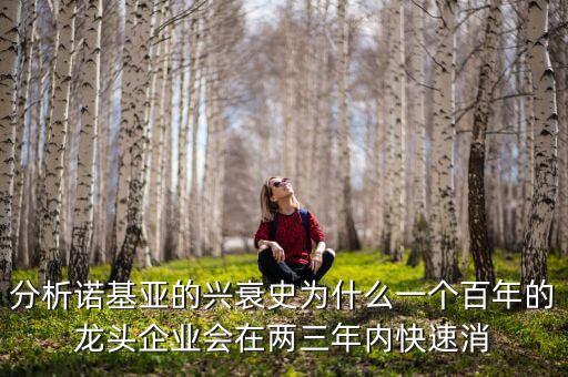 分析諾基亞的興衰史為什么一個百年的龍頭企業(yè)會在兩三年內(nèi)快速消
