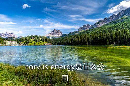 凱富能源是什么公司，corvus energy是什么公司