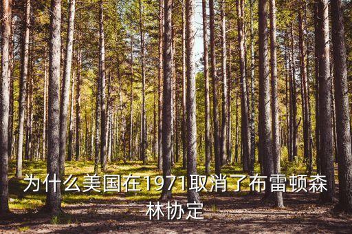 什么取代了布雷頓森林體系，布雷頓森林體系的產(chǎn)生說(shuō)明了