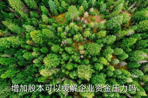 增加股本可以緩解企業(yè)資金壓力嗎