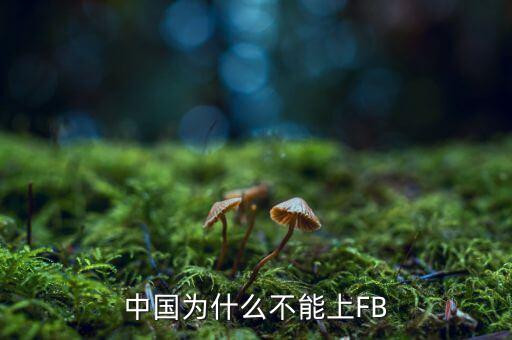 中國(guó)為什么不能上FB