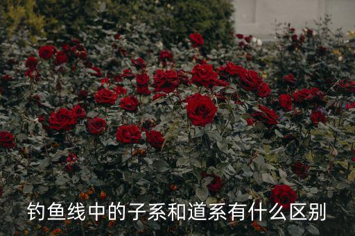 大道子線(xiàn)是什么意思，大道趨勢(shì)理論子線(xiàn)是多少日均線(xiàn)