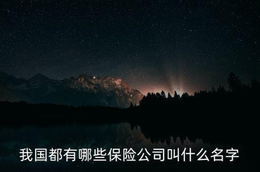 都有什么保險(xiǎn)公司，國內(nèi)所有保險(xiǎn)公司有哪些
