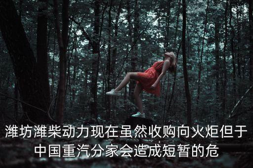 重汽為什么沒有濰柴了，中國重汽還有濰柴發(fā)動(dòng)機(jī)嗎