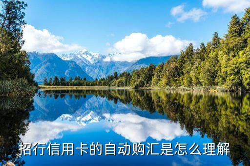 自動購匯轉(zhuǎn)出什么意思，什么是中國銀行信用卡的外幣自動購匯