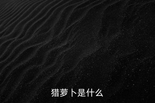 招聘行業(yè)的蘿卜是什么，聽說與獵蘿卜合作的大公司挺多的是真的嗎