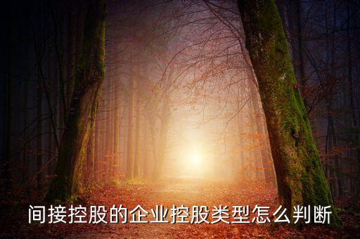 間接持股是什么意思，間接是什么意思
