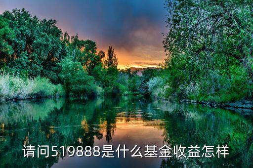 華寶油氣是什么基金，請問519888是什么基金收益怎樣