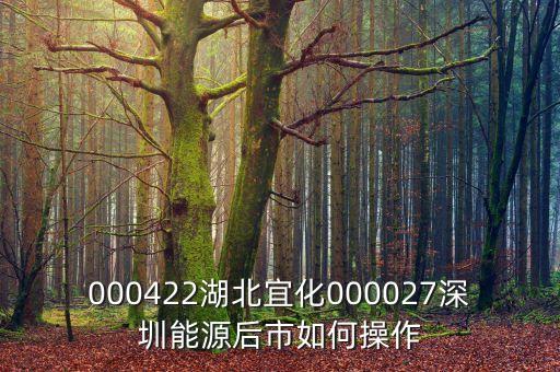 000027之前名什么，000422湖北宜化000027深圳能源后市如何操作
