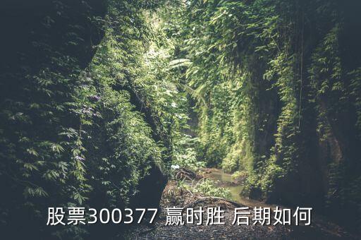 股票300377 贏時(shí)勝 后期如何