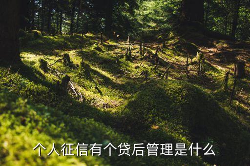 個人征信有個貸后管理是什么