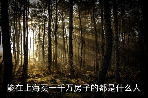 在上海買房的人都是一些什么人，能在上海買一千萬房子的都是什么人