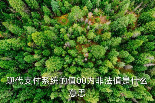 你會(huì)支付系統(tǒng)非法是什么意思，掌上銀行esrese支付系統(tǒng)非法什么意思