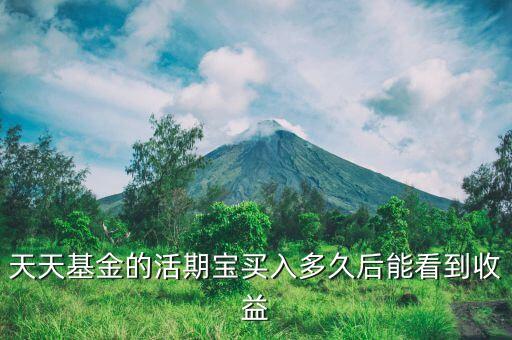 活期寶買(mǎi)股票基金什么時(shí)候顯示，天天基金的活期寶買(mǎi)入多久后能看到收益