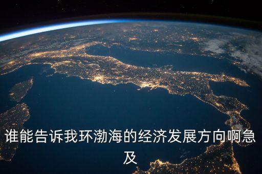 誰能告訴我環(huán)渤海的經(jīng)濟(jì)發(fā)展方向啊急及
